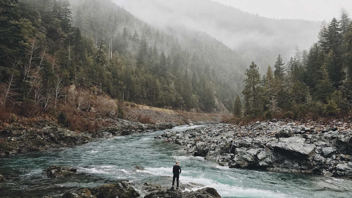 Career Pivot at 40+: Three Reader Stories from MLM — illusztráció